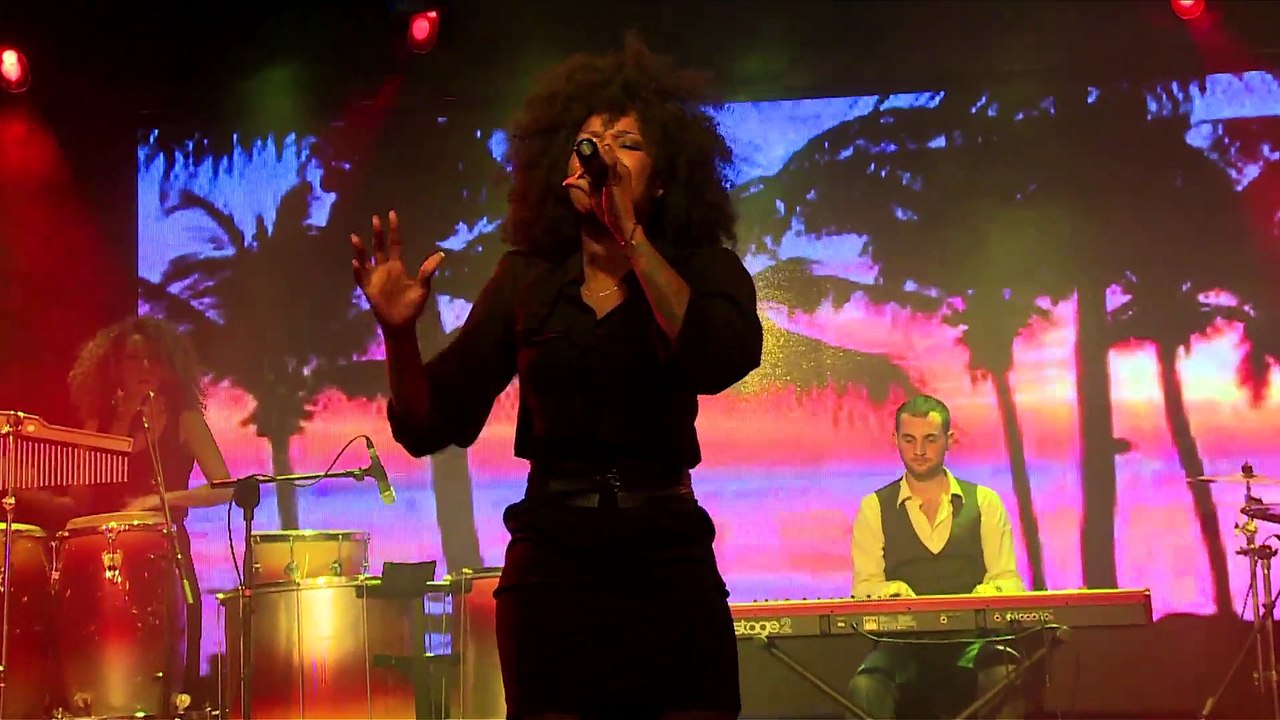 Pau Brazil : le carnaval de Rio à Paris!