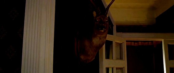 Фокус кино 2015