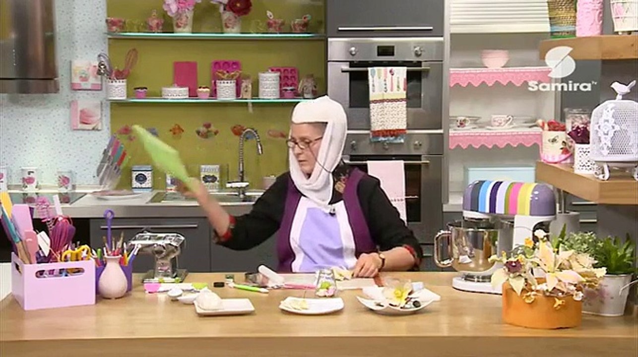 Samira TV en direct (live) - قناة سميرة تي في م...