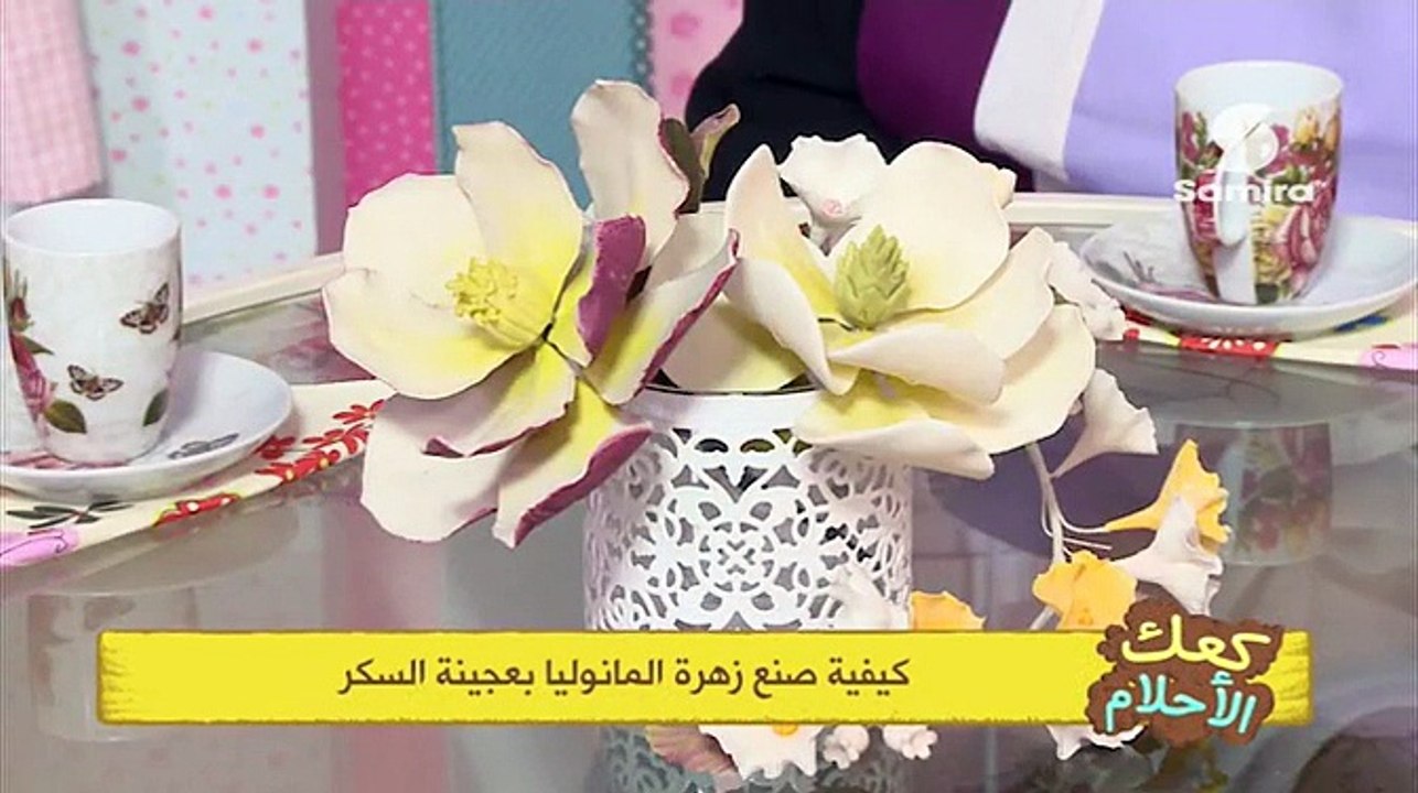 Samira TV en direct (live) - قناة سميرة تي في م...