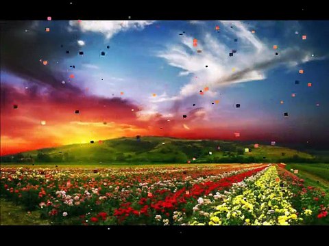 Día de la Paz 2015 CEIP Simón Bolívar