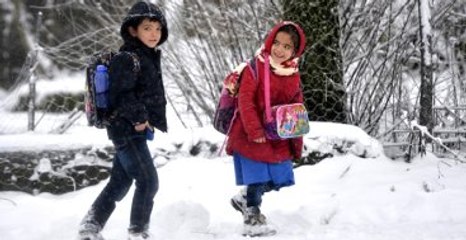 İstanbul'da Okullar Tatil Edildi