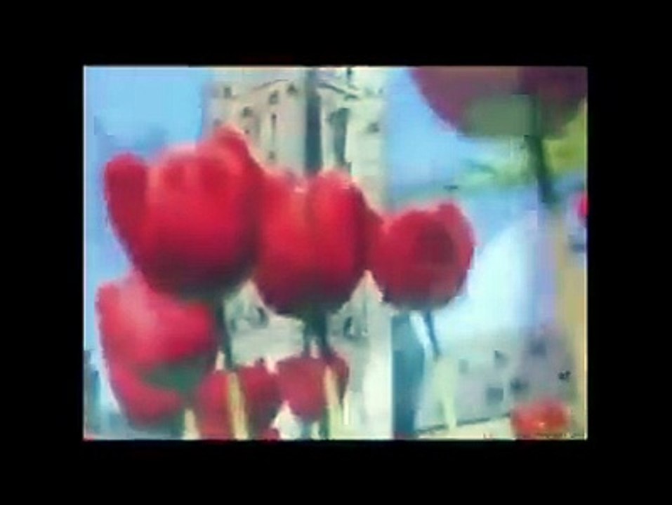 Canadian Prime Minster Stephen Harper Say (Ya Ali Madad