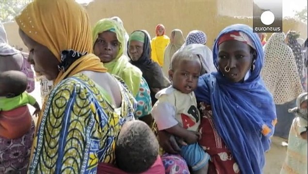 Una coalición africana pretende acabar con Boko Haram en seis semanas