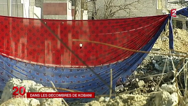 Prise de Kobani : les combattants kurdes poussent leur offensive contre les jihadistes de l'EI