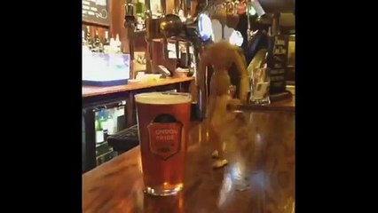 January 2015 Vine Compilation | DC Gaming