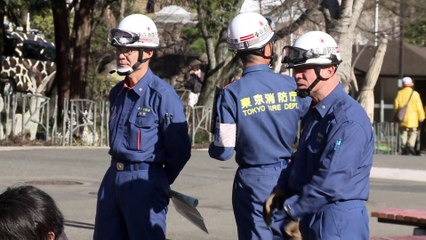Japon : un gardien de zoo se déguise en léopard pour simuler une évasion