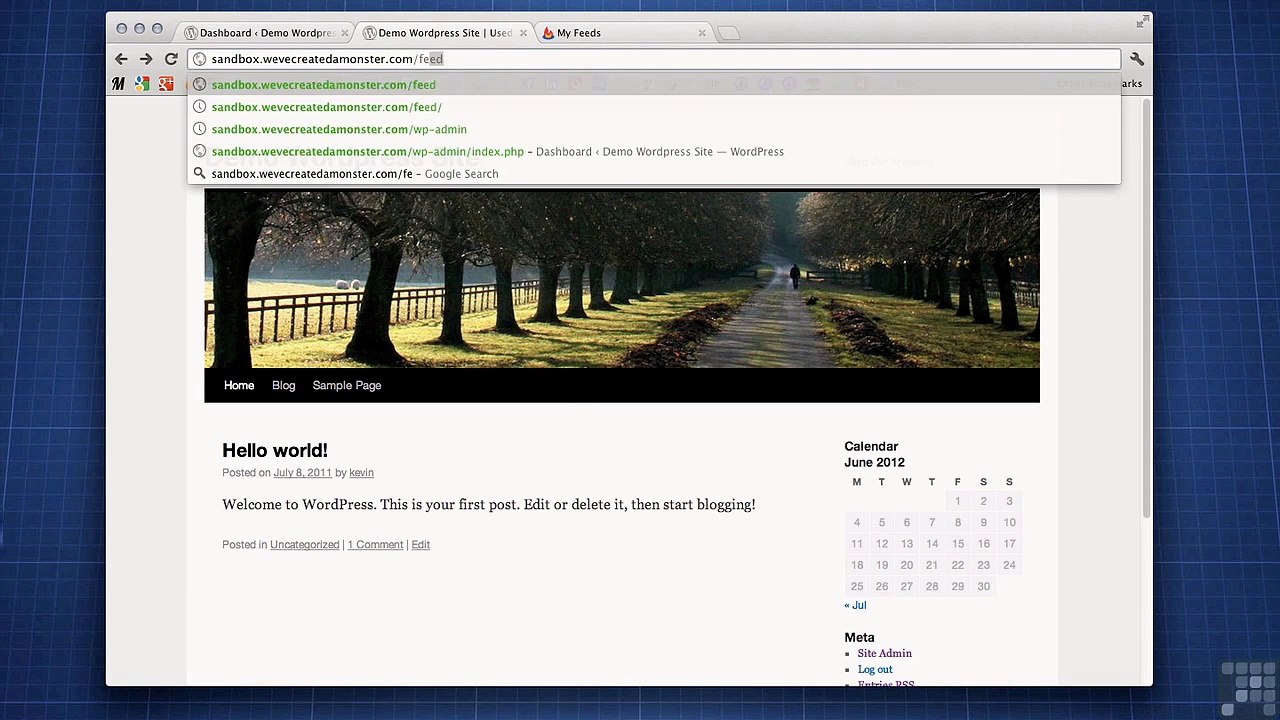 Setting Up Your RSS Feed