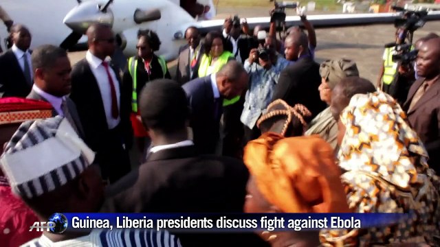 Guinea, Liberia leaders discuss progress on fight against Ebola