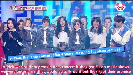 150201 A-Pink SectionTV Interview (eng sub)