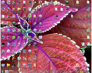Set Filters for Better Search Results