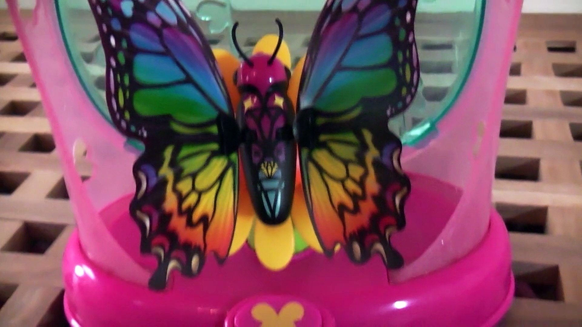 ⁣Little Live Pets Butterfly and Butterfly House Toy Review Moose Toys