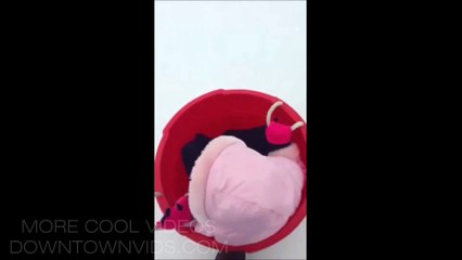 She was a good kid. She will be missed :D