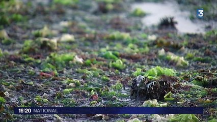 La Cour des comptes épingle les agences de l'eau