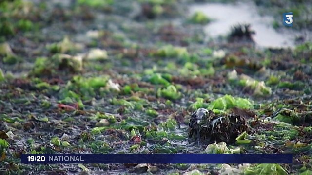La Cour des comptes épingle les agences de l'eau