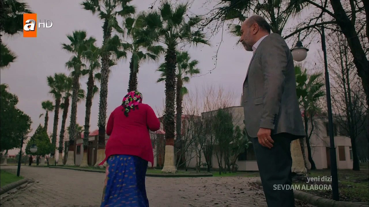 SAL 1 HD_2