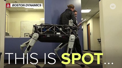 Google's New Robot Is Terrifyingly Lifelike