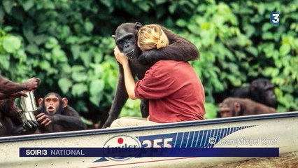 Le Muséum d'Histoire naturelle de Paris sur la piste des grands singes