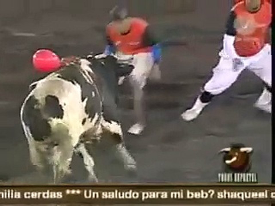 toros a la tica