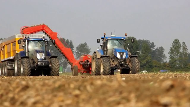 New Holland T7 Loading onions