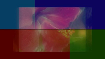 ONE DAY  // HEART MIND AND SOUL