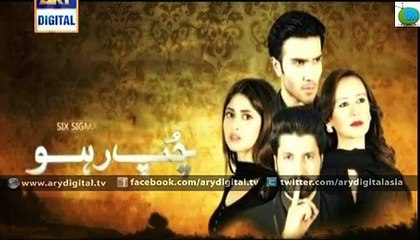 Chup Raho Episode 13 - 25th November 2014