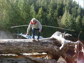 Denis Vincent @sitespaces.net