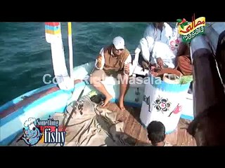 Something Fishy Ep 10 06_07_2011 Surmai