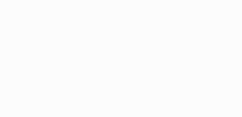 İdo ve Budo Bazı Seferlerini İptal Etti (2)