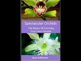 Spectacular Orchids: The Basics Of Growing Your Own Orchids Gene Ashburner PDF Download