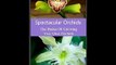 Spectacular Orchids: The Basics Of Growing Your Own Orchids Gene Ashburner PDF Download