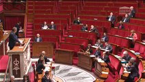 DÉBAT SUR LE RAPPORT RELATIF À L’ACTIVITÉ DE LA DÉLÉGATION PARLEMENTAIRE AU RENSEIGNEMENT POUR L’ANNÉE 2014 - Mardi 10 Février 2015