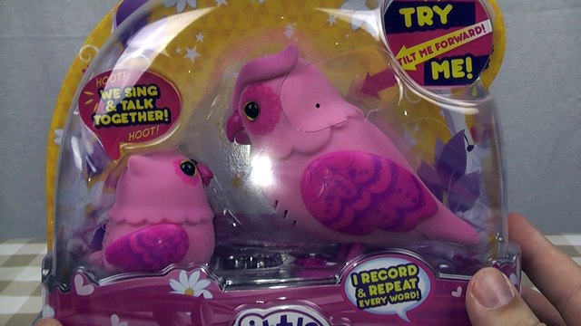 Little Live Pets Owl and Baby Toy Review tweet talking singing bird interactive toy