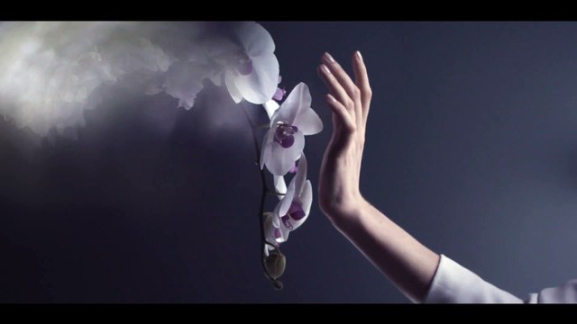 Monceau Fleurs : Collection Juliette