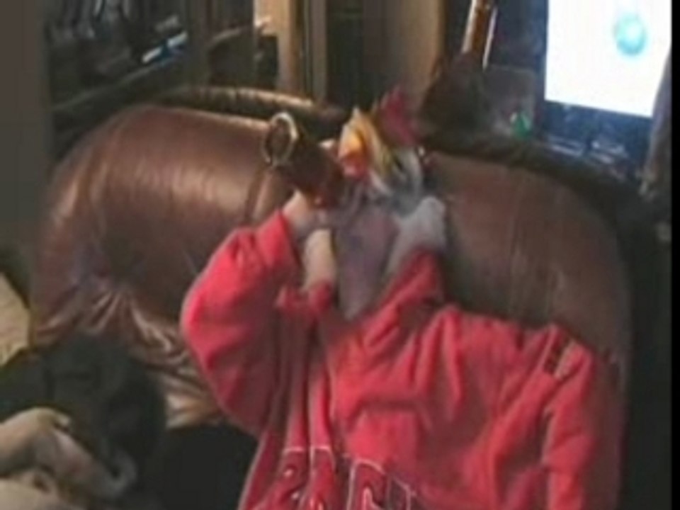 Aelpéacha J'L'Tismé - Trailer 50/50 8