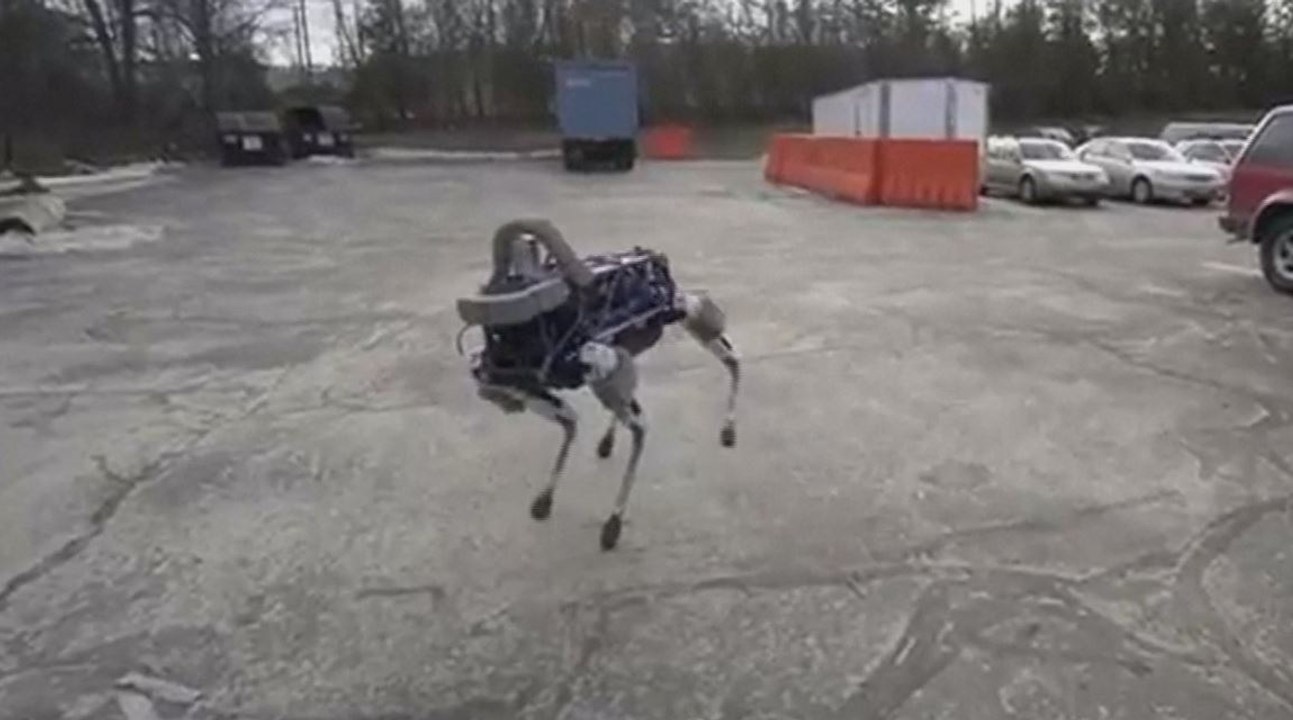 "Spot", l'étrange robot quadrupède à l'équilibre hors norme