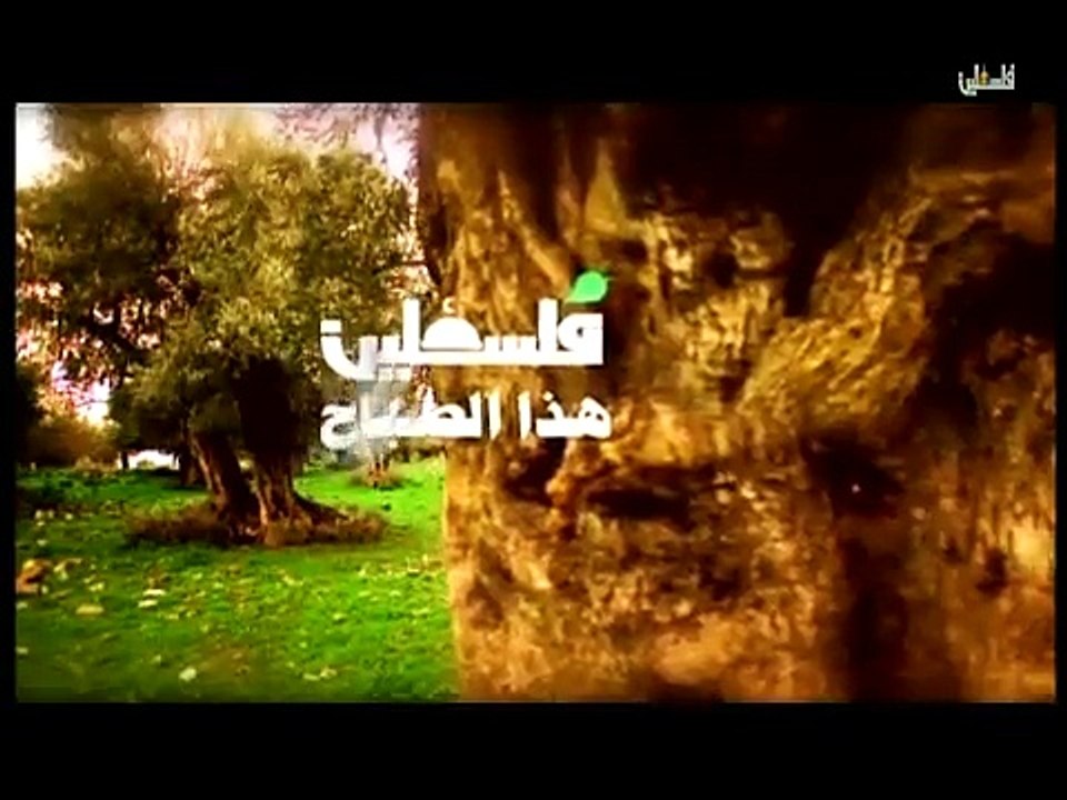فلسطين هذا الصباح -الاربعاء-11-2