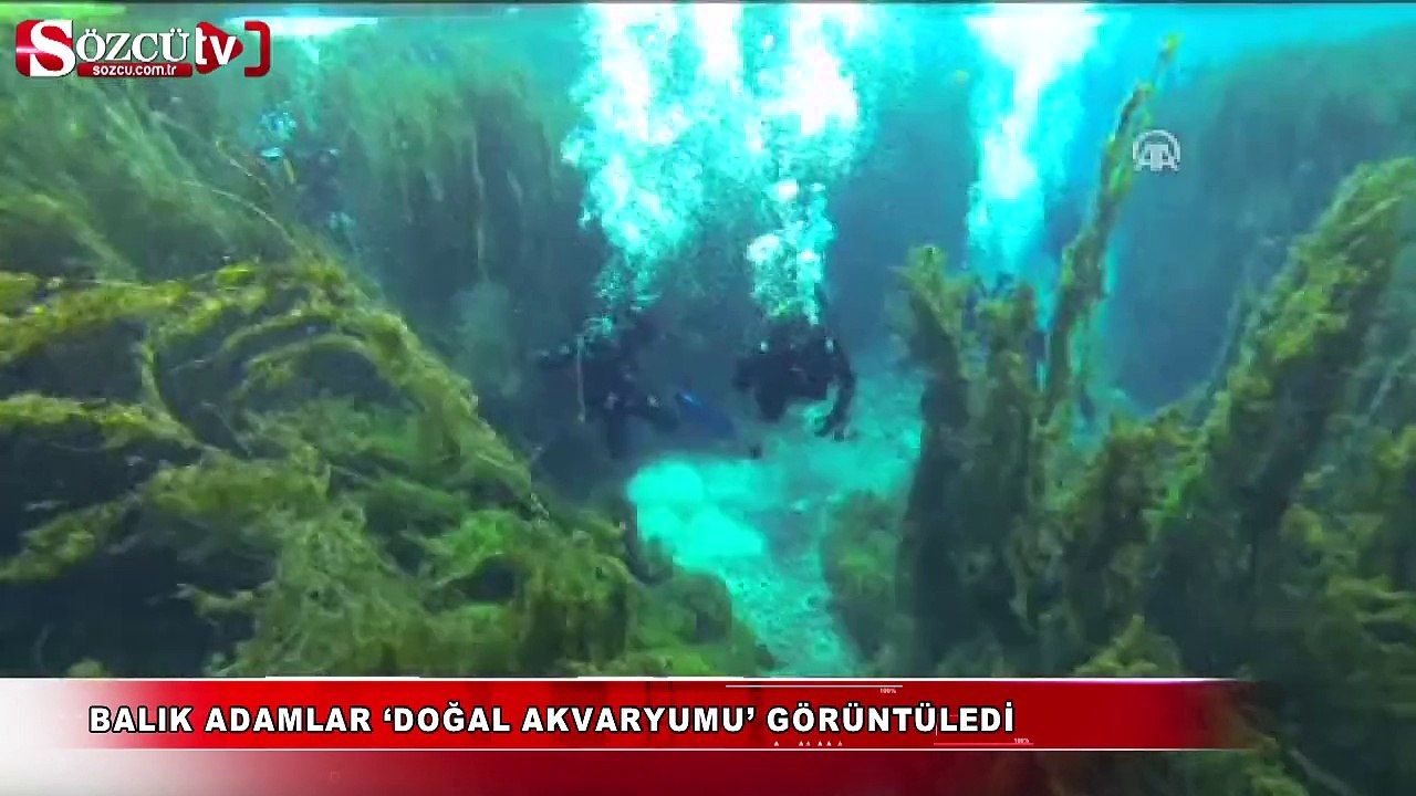 Balık adamlar 'doğal akvaryumu' görüntüledi