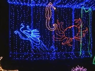 Christmas Lights at Shore Acres Park (Don Williams)