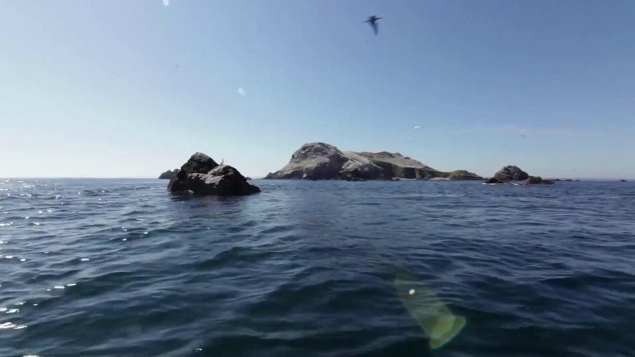 Là-bas sur nos rivages - Introduction