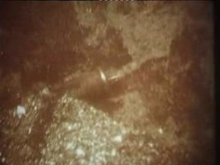 ANDREI TARKOVSKY - IN MEMORIAM