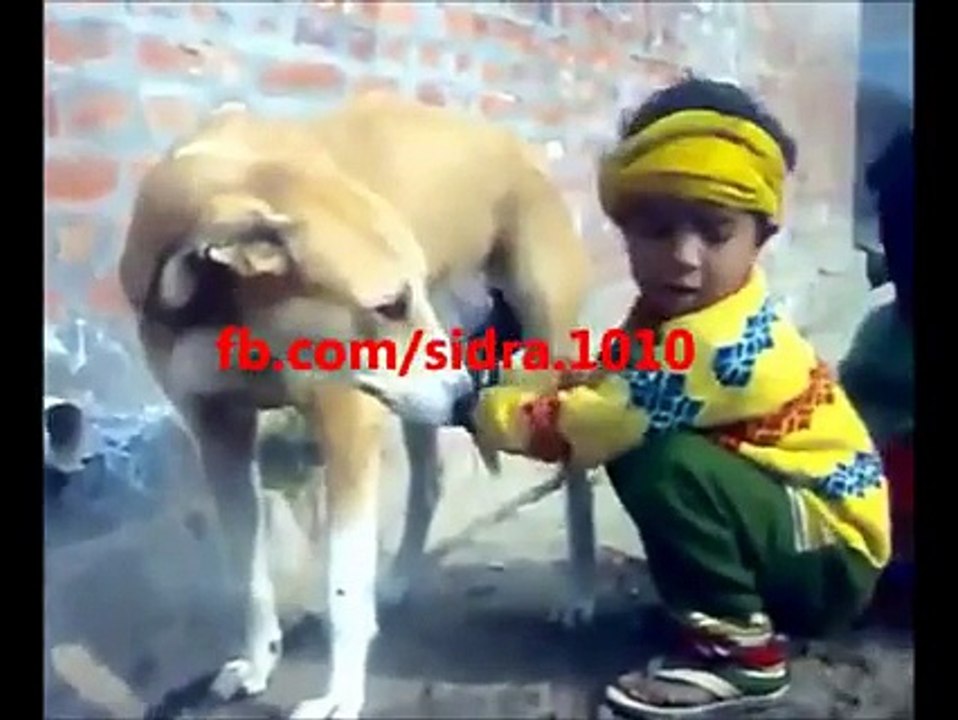 boys doing shame full act with dog.hahahahahaha