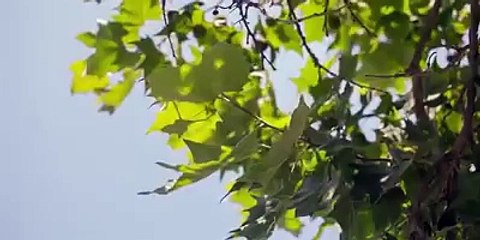 It's Weird Wednesday, so here's the weirdest