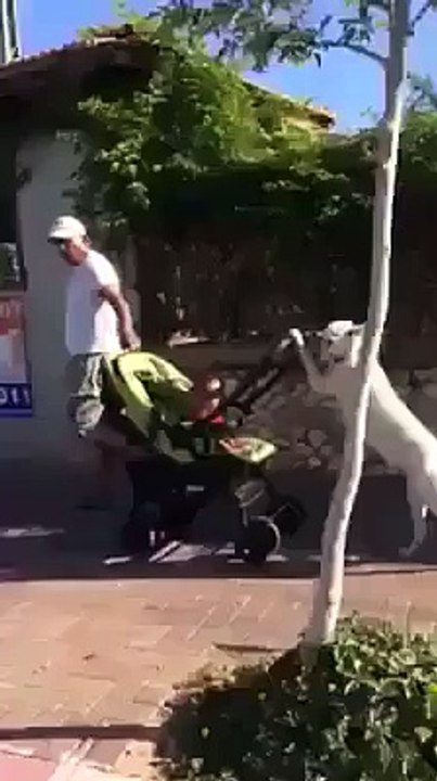 is that real superman