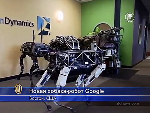 Новую собаку-робота Google показали на видео