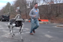 Spot, un nouveau robot quadrupède chez Boston Dynamics