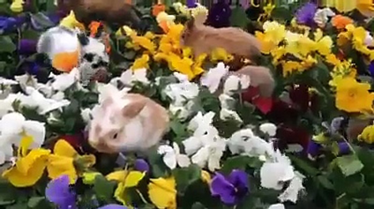 This Will Make Your Day!