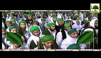 Islami Behanien Jashan-e-Wiladat Kesay Manaien
