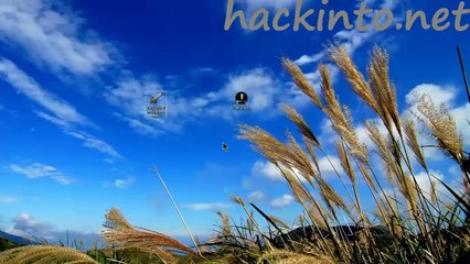 Dark Souls II multiplayer crack