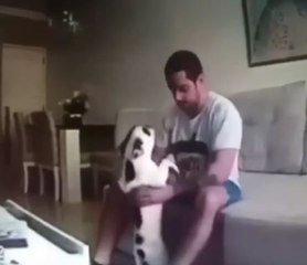 Tepki Toplayan Görüntüler Gizli Kamerayla Ortaya Çıktı